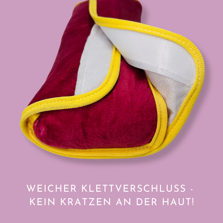 Auto slaapkussen fee